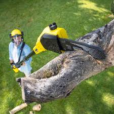 Best Tree Maintenance Programs  in Sewell, NJ